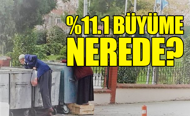 Bu insanlar 11,1'lik büyümeyi mi arıyorlar?