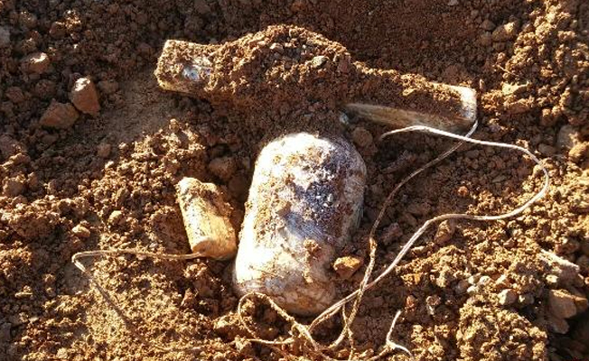 Bitlis'te PKK'nın araziye tuzakladığı patlayıcılar imha edildi