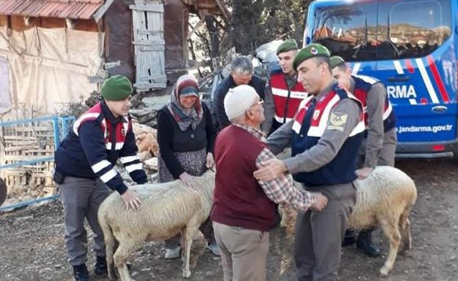 Yaşlı adamın hayvanlarına kavuşma mutluluğu