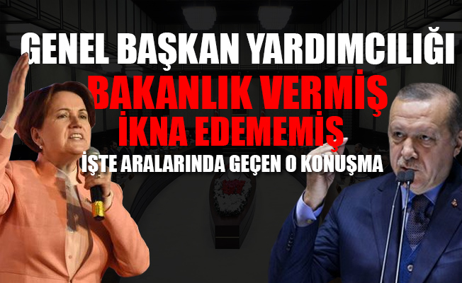 Meral Akşener-Tayyip Erdoğan görüşmesi