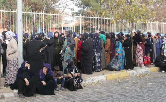 Şanlıurfa'da kömür kuyruğu yaşandı!