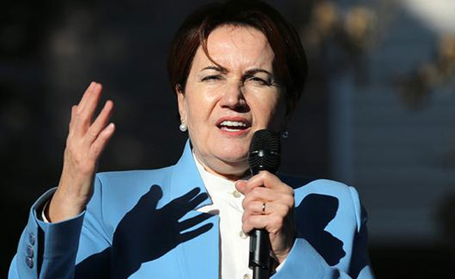 Meral Akşener'den Gölcük Tabiat Parkı çıkışı