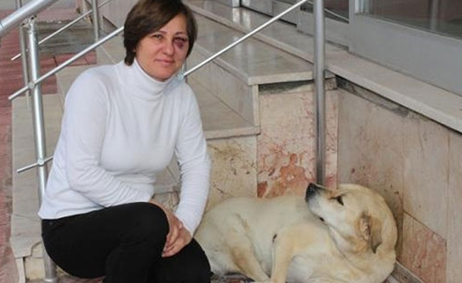 Sokak hayvanlarını besleyen kadına önce küfretti, sonra saldırdı!