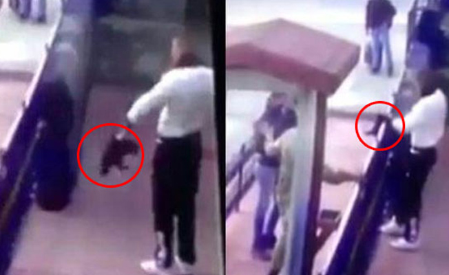 Kediye işkence yapan er polisin bileğini kırdı