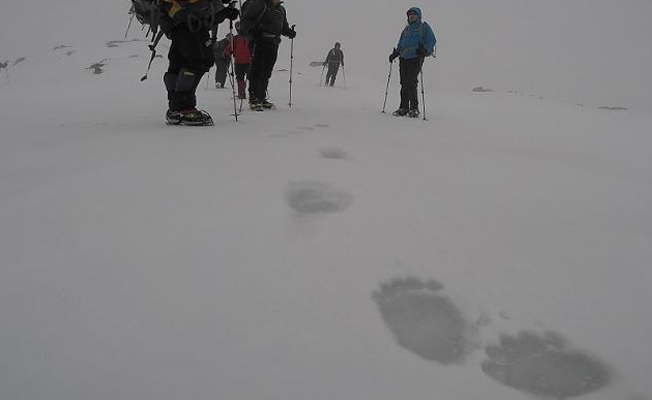 Uludağ'da şok eden ayak izleri!