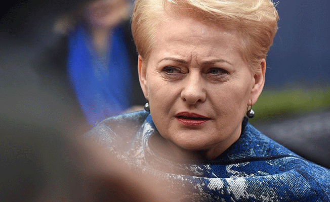 Litvanya lideri: Rusya’yla savaşmak değil, işbirliği yapmak gerekir