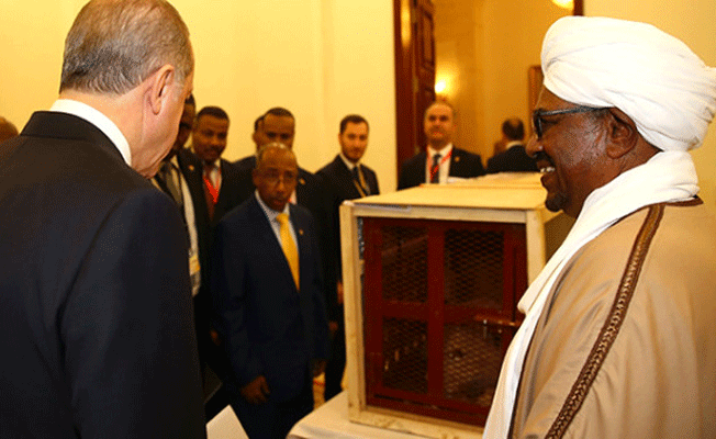Erdoğan'a Sudan'da aslan yavrusu hediye edildi