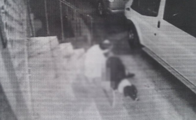 Köpeğe tecavüz eden şahsa komik ceza