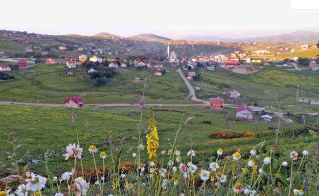 Arap yatırımcıların yeni favorisi...