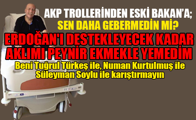 Eski bakan AKP trollerine isyan etti