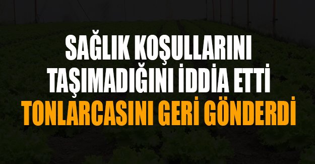 Rusya, 14 tondan fazla marulu Türkiye'ye geri gönderdi