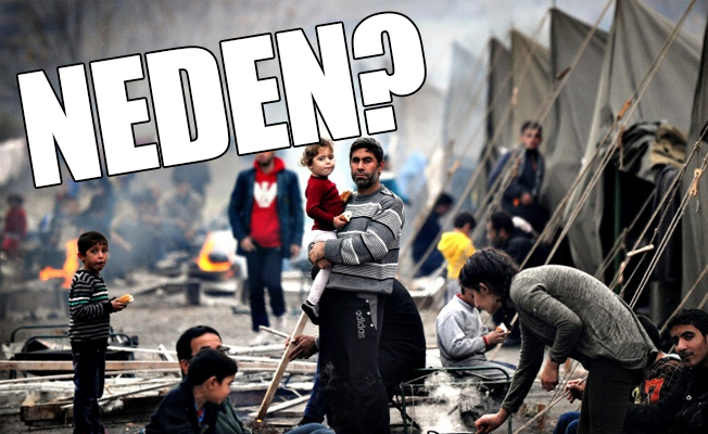 Suriyeliler Türk vatandaşı olmak istemiyor!