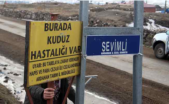 Ardahan'da 1 ilçe ve 3 köyde kuduz karantinası