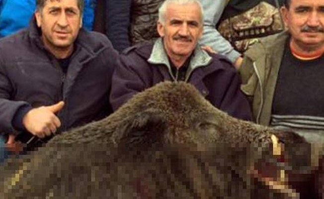 Vurdukları 300 kiloluk domuzla hatıra fotoğrafı çekildiler