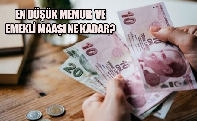 İşte 2018'de işçi, memur ve emekli maaşları