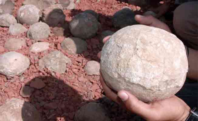 130 milyon yıllık dinozor yumurtaları bulundu