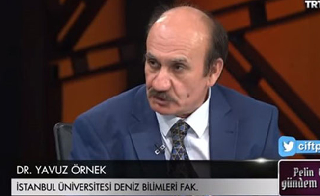 TRT'deki akademisyenden olay açıklama: Hz. Nuh, oğlu ile cep telefonuyla görüştü