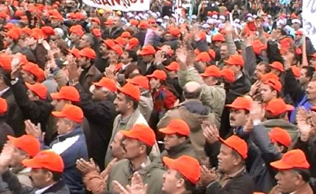 Taşerona kadro başvurusu nasıl yapılır?