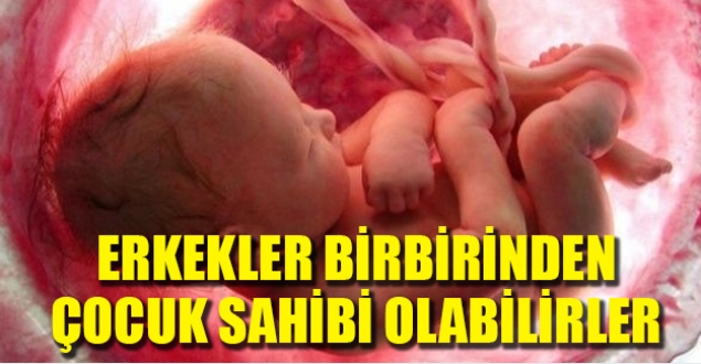 İngiliz bilim insanları: Eşcinsel erkekler birbirinden çocuk sahibi olabilir