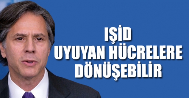 ABD Dışişleri Bakan Yardımcısı: IŞİD uyuyan hücrelere dönüşebilir