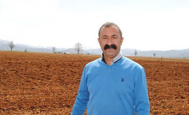 Tunceli'de 'komünist süt' yolda