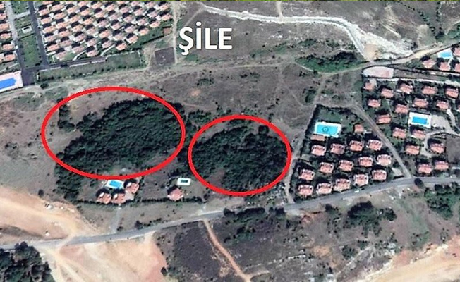 TOKİ Orman'ı kesip, toplu villa yapacak!