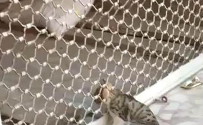 Kepenge sıkışan kediyi itfaiye kurtardı