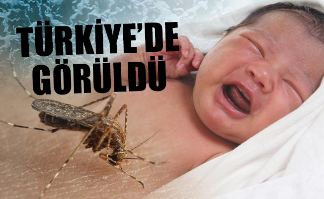 Sağlık Bakanı’ndan Zika virüsü açıklaması!