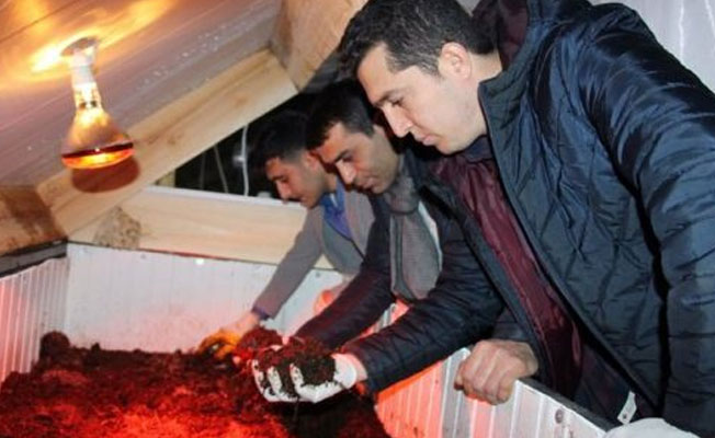 Solucan gübresi işiyle ayda 15 bin lira kazanıyorlar!
