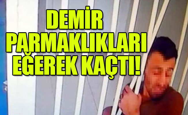 Buzdolabının arkasında saklanırken yakalandı!