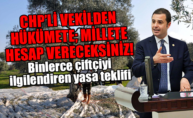 AKP'nin Tunus'tan zeytinyağı ithal etmesine sert çıktı