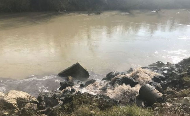 Sakarya Nehri'ndeki skandal, Bakanlığı harekete geçirdi