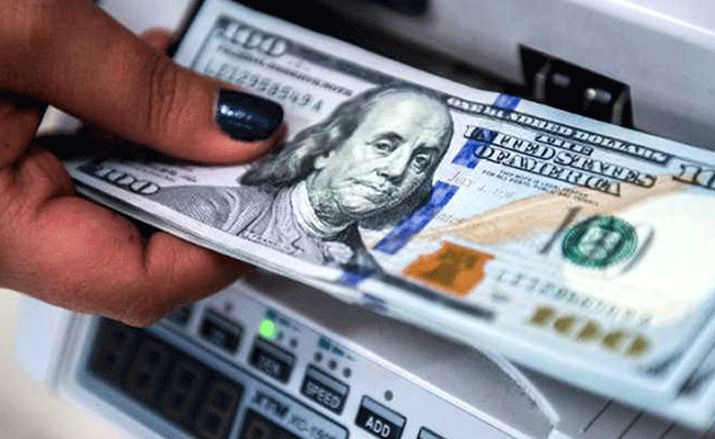 Merkez Bankası yıl sonu dolar tahminini açıkladı