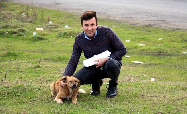 Öğretmenin ortaya çıkardığı köpek katliamında belediyenin cezası belli oldu