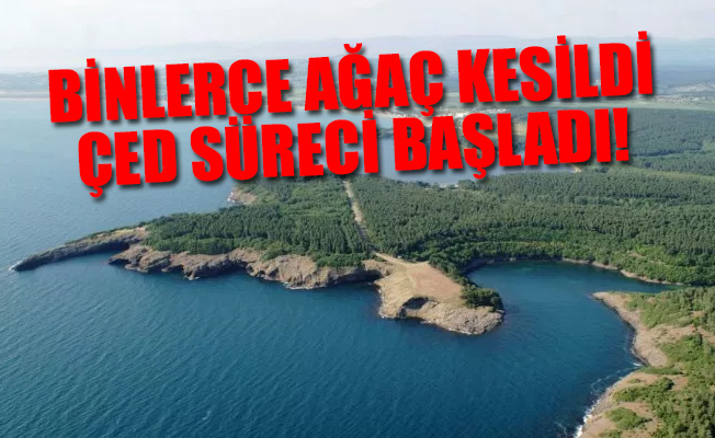Türkiye'nin 'keşfedilmemiş cennetine' nükleer santral yapılıyor