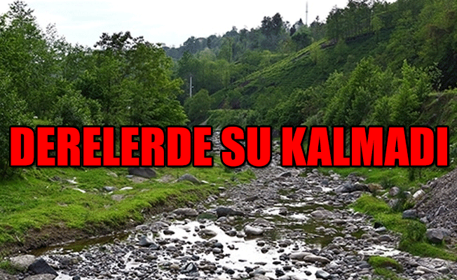 Karadeniz'de 10 yılda 203 HES yapıldı!