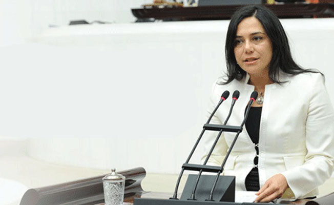 Yüceer, Bakanlığın termik santral yazısını Meclis'e taşıdı