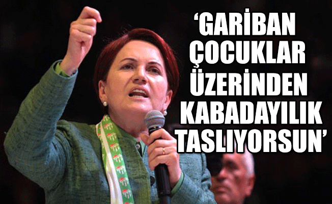 Meral Akşener’den Afrin için kritik çağrı