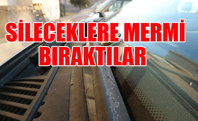 Konya'da dehşet veren olay!