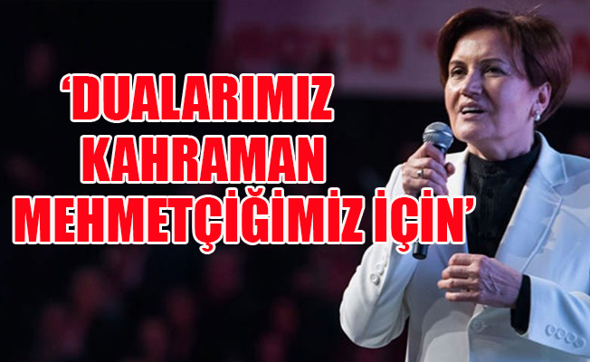 Meral Akşener'den 'Zeytin Dalı Harekatı' açıklaması!