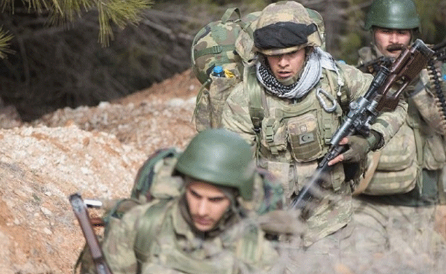 TSK Burseya Dağı ile üç köyü daha ele geçirdi