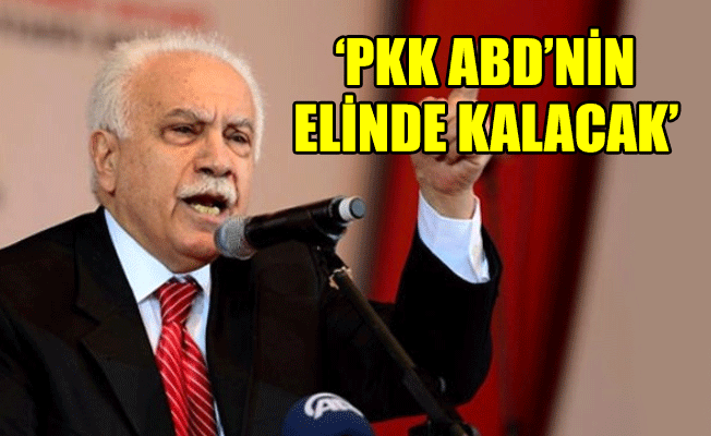 Perinçek: Afrin operasyonu ABD'nin Suriye'deki pozisyonunu zayıflatacak