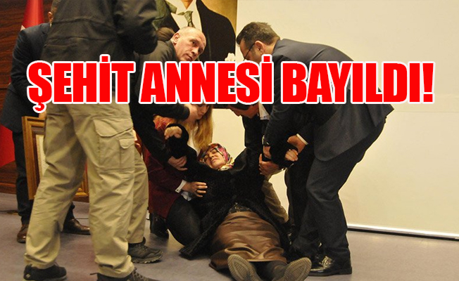 Şehit annesi, madalyayı alırken fenalaştı!