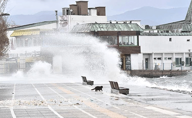 İzmir’de deniz ulaşımı durdu!