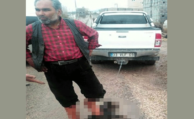 Köpeğe işkence yapan öğretmen hakkında flaş karar!