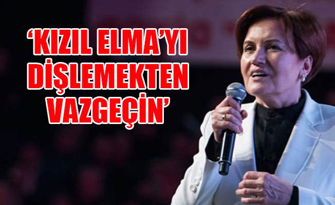 Akşener: Mehmetçik üzerine düşeni yapıyor!
