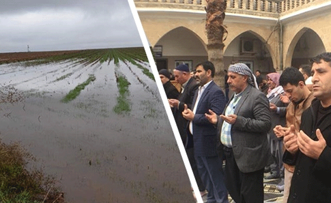 Yağmur duasına çıkılan Siverek'i sel aldı!