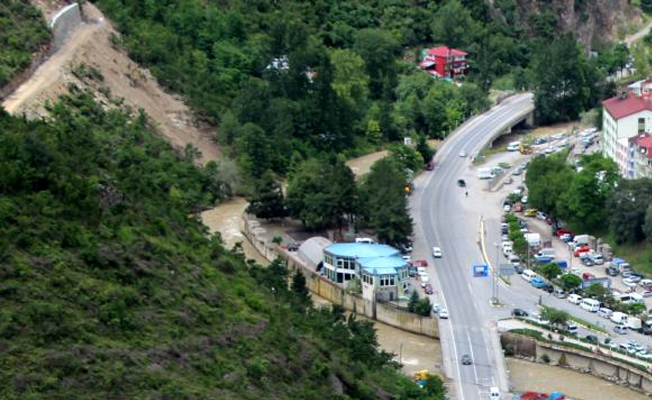 'Asırlık ağaçları söküp düğün salonu yapacaklar'