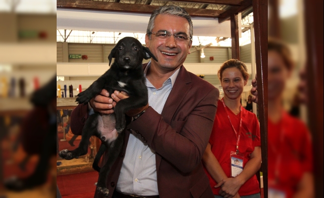 Sahipsiz misafirlere 5 yıldızlı konfor