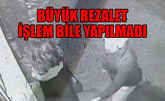 Taciz mağduru üniversite öğrencisine mahkemede skandal hakaret: Böyle o...pu gibi giyinirsen...